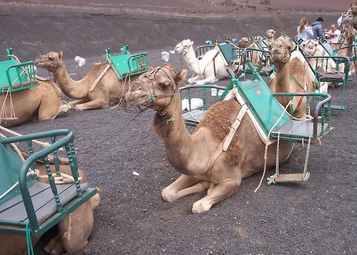 Lazydays 别墅 普拉亚布兰卡