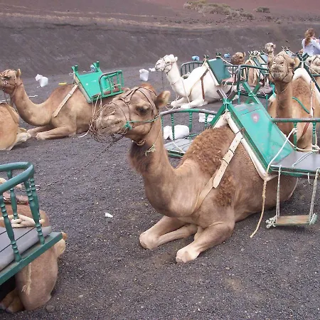 Lazydays Villa Playa Blanca (Lanzarote)